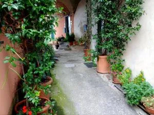 Il Nido delle Rondini - Vignana