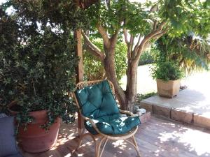 Villas Magnifique villa piscine Propriano : photos des chambres