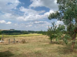 Maisons de vacances Logement dans maison en pierre a la campagne : photos des chambres