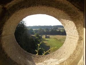 B&B / Chambres d'hotes Chateau du Fraisse : photos des chambres