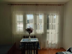 Apartment in Tisno with sea view, balcony, air conditioning, WiFi (4874-2)