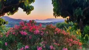 La Maison De La Cadière - 拉卡迪埃达聚