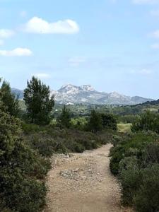 Maisons de vacances La Pitchoune : Gite aux pieds des Alpilles : photos des chambres