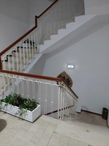 Residencial Real - Antiga Rosas