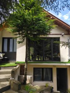 Dom sa pogledom Jela