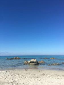 Appartements Appartement T3 a 2mn de la Plage : photos des chambres