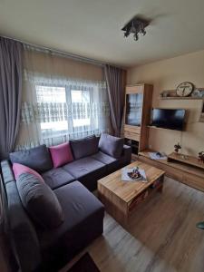 Katarina Central House Predeal