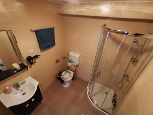 Katarina Central House Predeal