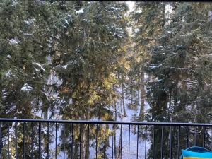 Rooms Kokhta Mitarbi apartments