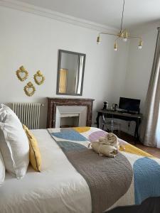 B&B / Chambres d'hotes Maison Douce Arles : photos des chambres