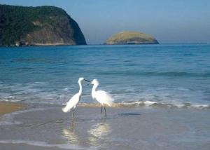 Apart Hotel Alecrim Praia de Camboinhas com Marina pe na areia