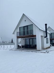 White House near Borjomi Sadgeri