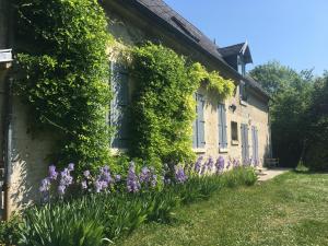 Maisons de vacances Maison cosy dans village historique : photos des chambres