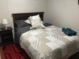 cabañas glaciares de la patagonia 2