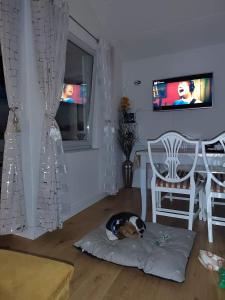 Apartment Golden Sun Mareda Novigrad, Istria, Croatia