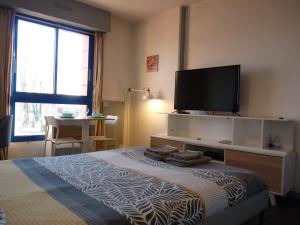 Appartements Studio Cosy Tout Confort a Talence : photos des chambres