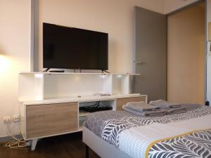 Appartements Studio Cosy Tout Confort a Talence : Appartement 1 Chambre