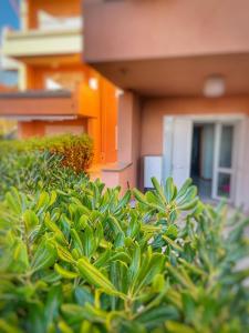Summer House - Appartamento fronte mare