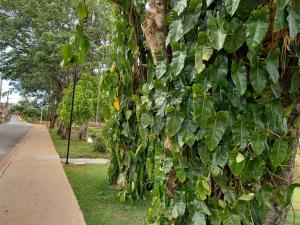 Chalés Encantos de Cunha Azul