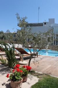 Alkistis Hotel Achaia Greece