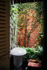Mekong Pottery Homestay, Green-Friendly & Boat Tour