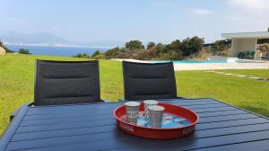 Appartements CORSE HOLISTIKA - Rez-de-jardin avec vue mer exceptionnelle et piscine magnifique : photos des chambres