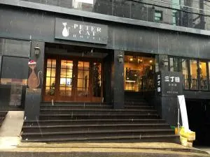 Petercat Hotel Shinchon - Seul