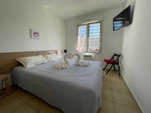 Appartements Appartement tout confort 2-4 pers 500 m de la plage avec piscine et wifi : photos des chambres