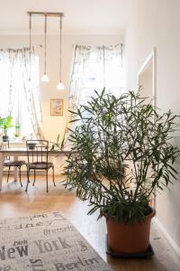 150 qm Luxus im Zentrum