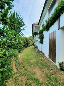 Quintinha d´Amélia