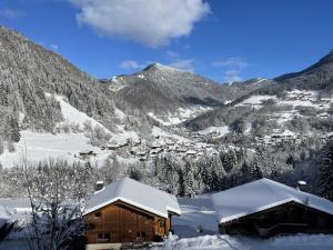 Magnifique vue - Pistes 1 min - Parking privé