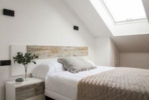 Apartamento Los olmos