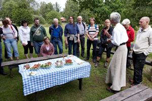 STF Korrö Gårdshotell - B&B