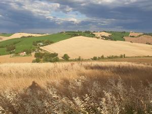 Apartment Terre Roveresche