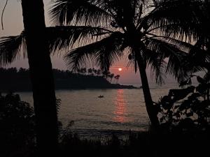Surf Paradise 2
