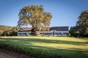 Taaibosch Collection