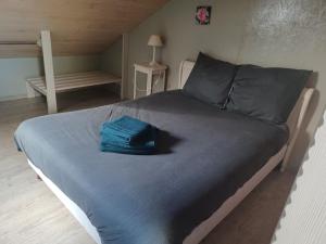 Maisons de vacances Gites les 2 Clos au pied du Mont : photos des chambres