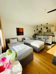 Messe Apartment am Rhein - Kalk