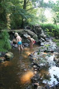 Campings Mobile Home auf Campingplatz mit Naturbadesee : photos des chambres