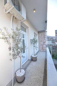 Old Kotor apartment