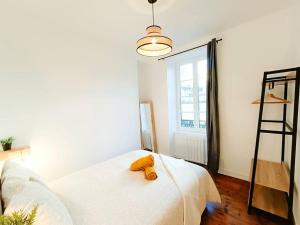 Cosy Calypso - T3 - Quartier des Halles & Parking