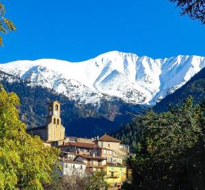 Appartements Mon Canigou Locations : photos des chambres