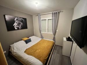 Villas Brugiere : photos des chambres