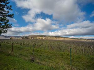 Maisons de vacances By les Climats - Gite du Tacot - Gevrey-Chambertin : photos des chambres