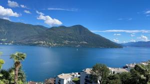 Swiss Blue Residence. Apartment Lake Paradise