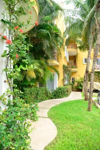 Las Palmas - Palma Xiat & Cocoyol