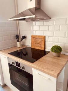 Sapphire Apartment In The Center Of Bucharest