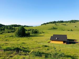 Căsuțele din Poiană