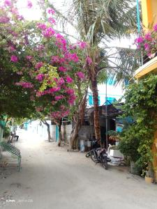Ocean Way Guraidhoo