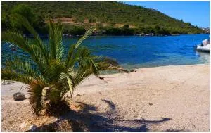 Apartments Andi - 博德戈拉维查